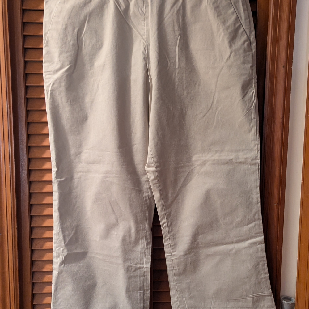 GAP Men's Khaki Chinos